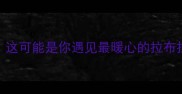 重庆人注意这可能是你遇见最暖心的拉布拉多领养故事