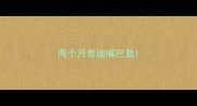 两个月泰迪嘴巴臭