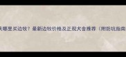 重庆哪里买边牧最新边牧价格及正规犬舍推荐附防坑指南