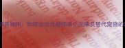宠物领养指南如何合法合规领养小浣熊及替代宠物的选择