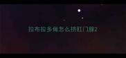 拉布拉多做怎么挤肛门腺