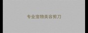 专业宠物美容剪刀