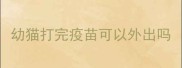 幼猫打完疫苗可以外出吗