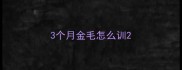 3个月金毛怎么训