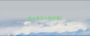 哈士奇多大脸好看
