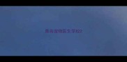 青岛宠物医生学校