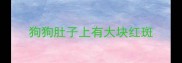 狗狗肚子上有大块红斑