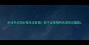 未接种疫苗的猫洗澡真相新手必看猫咪洗澡禁忌指南