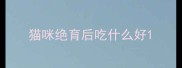 猫咪绝育后吃什么好