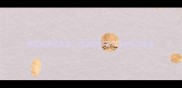 狗狗能喝豆浆吗5大科学解答与安全饮用指南