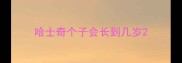 哈士奇个子会长到几岁