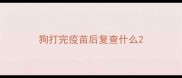 狗打完疫苗后复查什么
