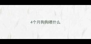 4个月狗狗喂什么