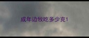 成年边牧吃多少克