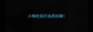 小狗吃完打虫药拉稀