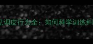 哈士奇常见调皮行为全如何科学训练纠正坏习惯