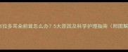 拉布拉多耳朵前耸怎么办5大原因及科学护理指南附图解