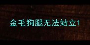 金毛狗腿无法站立