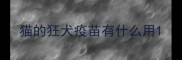 猫的狂犬疫苗有什么用