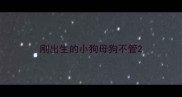 刚出生的小狗母狗不管