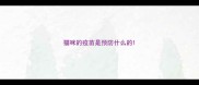 猫咪的疫苗是预防什么的