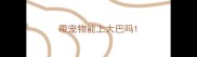 带宠物能上大巴吗