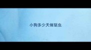 小狗多少天做驱虫