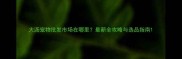 大沥宠物批发市场在哪里最新全攻略与选品指南
