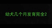 幼犬几个月发育完全