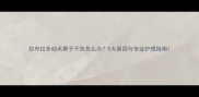 拉布拉多幼犬鼻子干热怎么办5大原因与专业护理指南