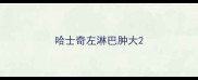 哈士奇左淋巴肿大