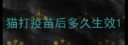 猫打疫苗后多久生效