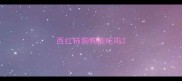 西红柿狗狗能吃吗