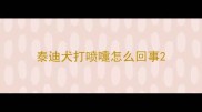 泰迪犬打喷嚏怎么回事