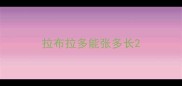 拉布拉多能张多长