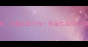 宠物疫苗储存全攻略冷藏还是冷冻疫苗失效的5大误区与家庭保存技巧