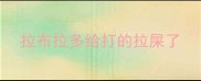 拉布拉多给打的拉屎了