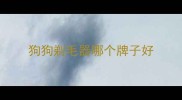 狗狗剃毛器哪个牌子好