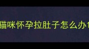 猫咪怀孕拉肚子怎么办