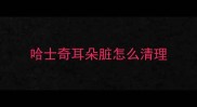 哈士奇耳朵脏怎么清理