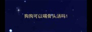 狗狗可以喝骨头汤吗