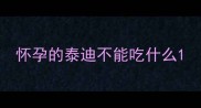 怀孕的泰迪不能吃什么