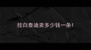 挂白泰迪卖多少钱一条