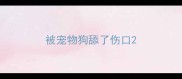 被宠物狗舔了伤口