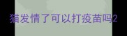 猫发情了可以打疫苗吗