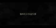 猫咪吃太多益生菌