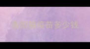 洛阳猫疫苗多少钱