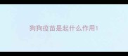 狗狗疫苗是起什么作用