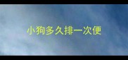 小狗多久排一次便