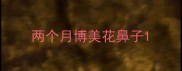 两个月博美花鼻子